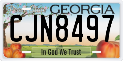 GA license plate CJN8497