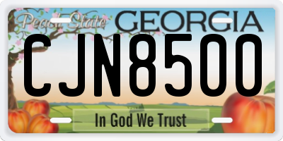 GA license plate CJN8500