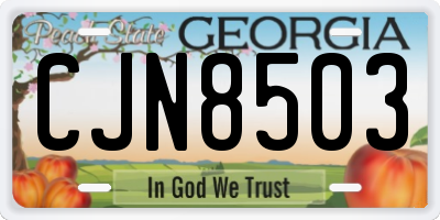 GA license plate CJN8503