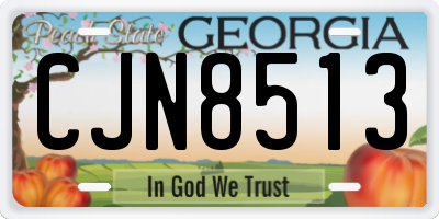 GA license plate CJN8513