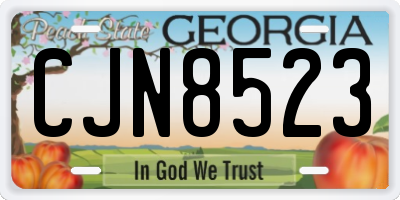 GA license plate CJN8523