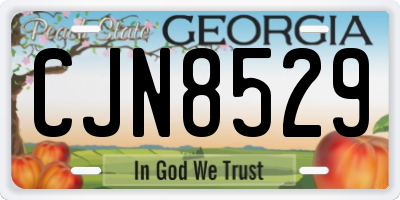 GA license plate CJN8529