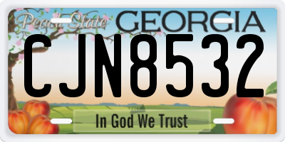 GA license plate CJN8532