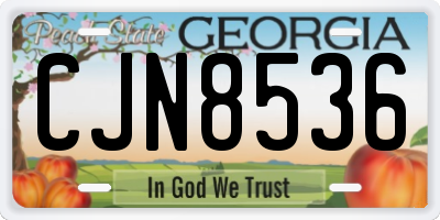 GA license plate CJN8536
