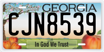 GA license plate CJN8539