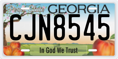 GA license plate CJN8545