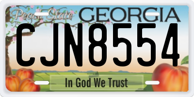 GA license plate CJN8554