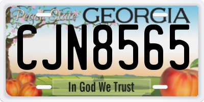 GA license plate CJN8565