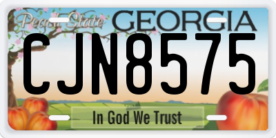 GA license plate CJN8575