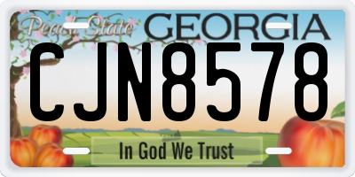 GA license plate CJN8578