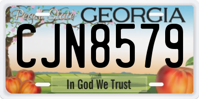 GA license plate CJN8579