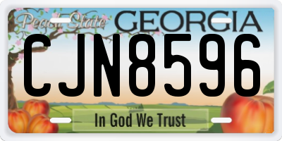 GA license plate CJN8596