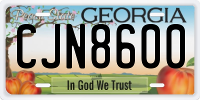 GA license plate CJN8600