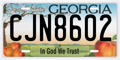 GA license plate CJN8602