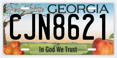 GA license plate CJN8621