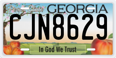 GA license plate CJN8629