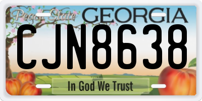 GA license plate CJN8638