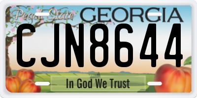 GA license plate CJN8644