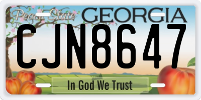 GA license plate CJN8647