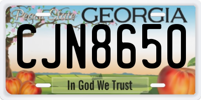 GA license plate CJN8650