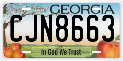 GA license plate CJN8663