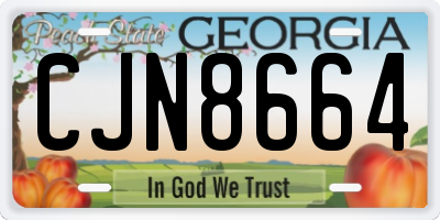 GA license plate CJN8664
