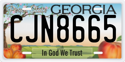 GA license plate CJN8665