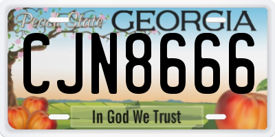GA license plate CJN8666