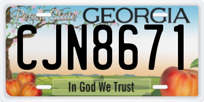GA license plate CJN8671