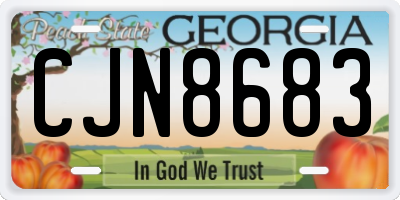 GA license plate CJN8683