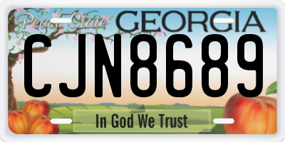GA license plate CJN8689