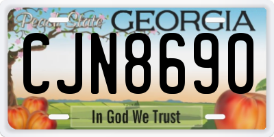 GA license plate CJN8690