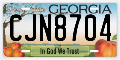 GA license plate CJN8704