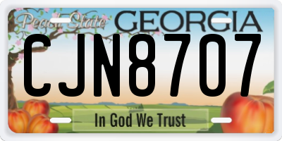 GA license plate CJN8707