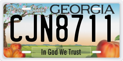 GA license plate CJN8711