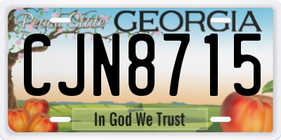 GA license plate CJN8715