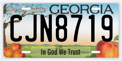 GA license plate CJN8719