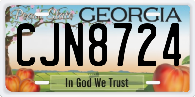 GA license plate CJN8724