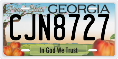 GA license plate CJN8727