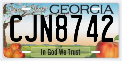 GA license plate CJN8742