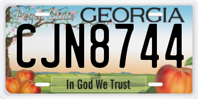 GA license plate CJN8744