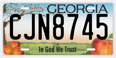 GA license plate CJN8745