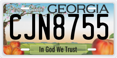 GA license plate CJN8755