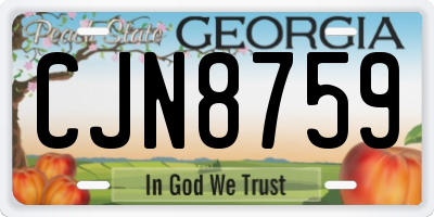 GA license plate CJN8759