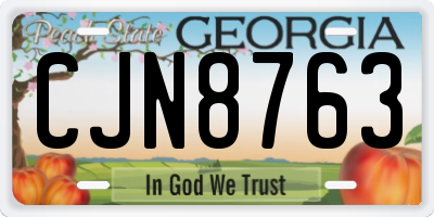 GA license plate CJN8763
