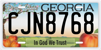 GA license plate CJN8768