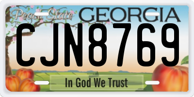 GA license plate CJN8769