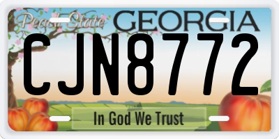 GA license plate CJN8772