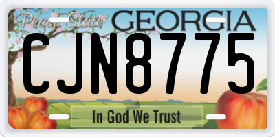 GA license plate CJN8775