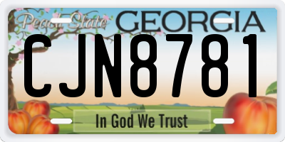 GA license plate CJN8781